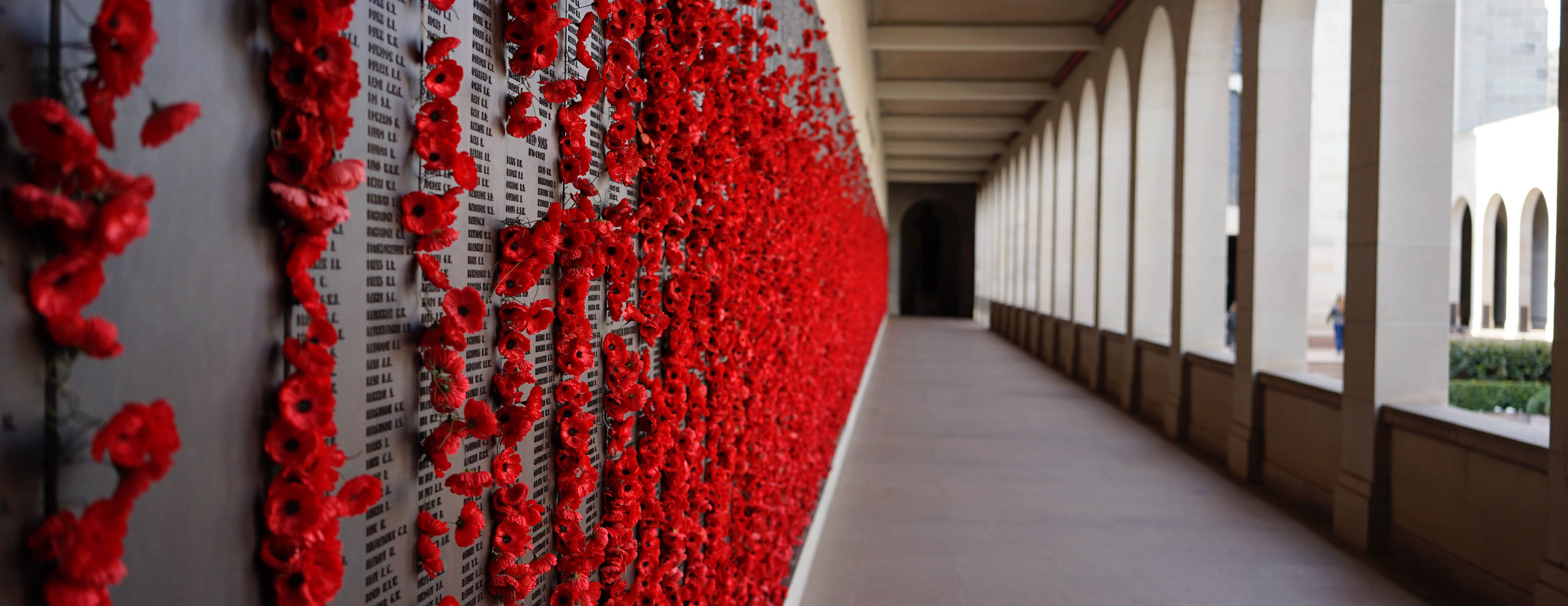 Poppies sprout from a memorial wall at the Australian War Memorial on Anzac Parade. Photo by Tony Liao.