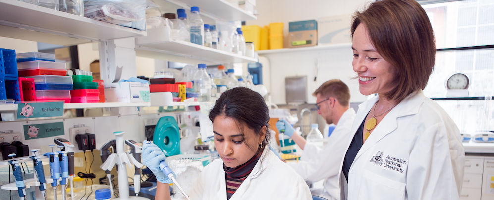 Professor Carola Vinuesa assisting an Immunology PhD candidate in the Pathogens and Immunity Department at ANU College of Health & Medicine.