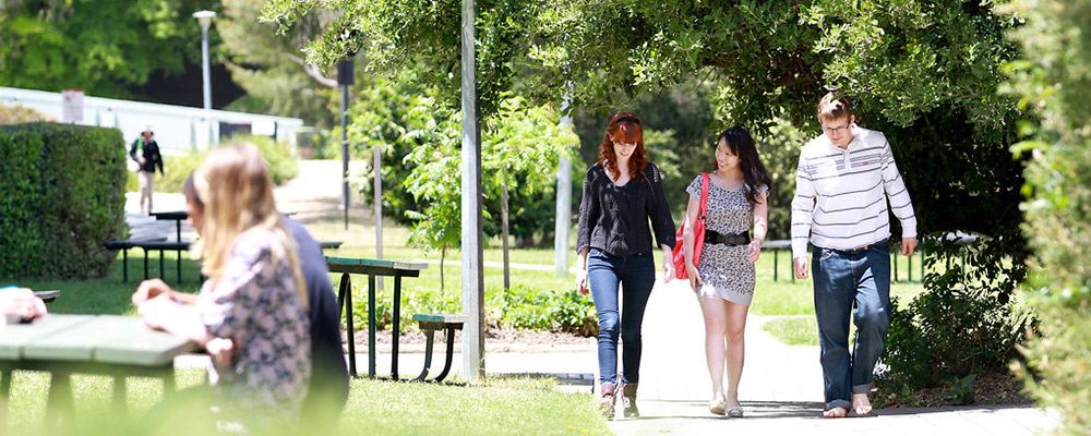 Three students walking and talking along a shaded path on a sunny day. Other students are towards the front, out of focus, talking around a picnic table.