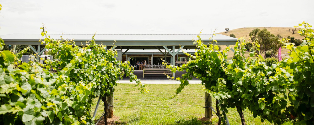Grab a pizza at Four Winds Vineyard and enjoy the sun and views amongst the vines.