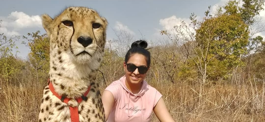 Priya in Zambia with two tame cheetahs