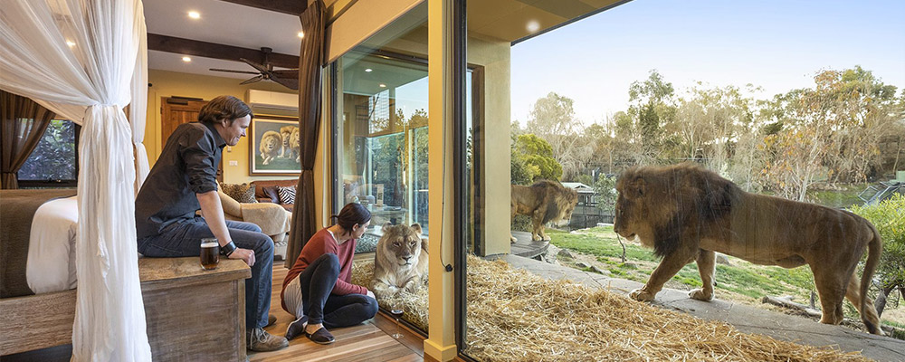 Get up close to the animal in your own private hotel room at the National Zoo & Aquarium.
