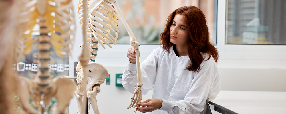 A woman in a protective garment examines a model skeleton.