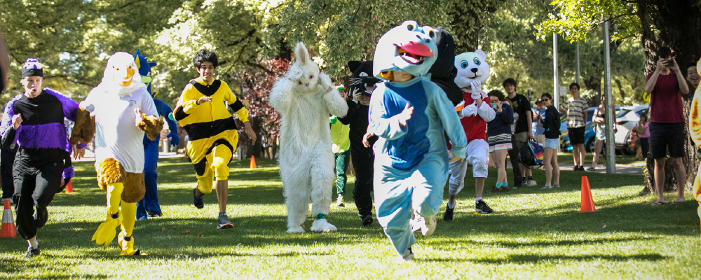 The Interhall mascot race at ANU Open Day.