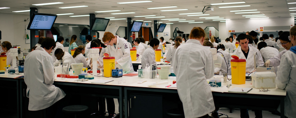 A large class of students conduct experiments in a practice lab