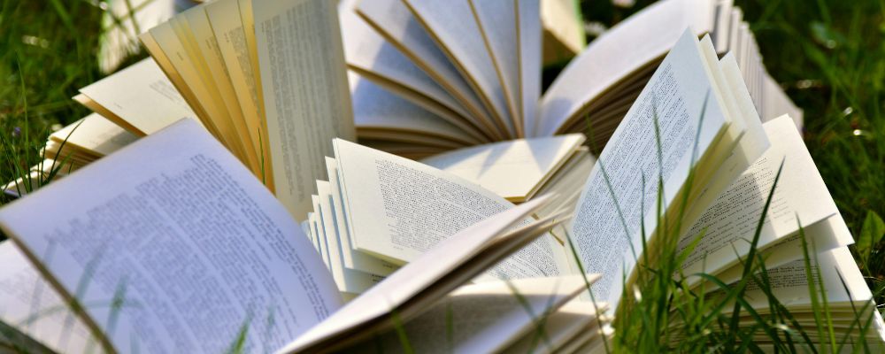 Multiple paper books spread open on a bed of grass facing the sky.