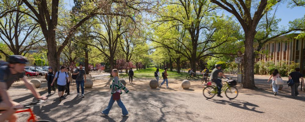 Students walking in different directions across University Avenue on their way to class on campus at ANU