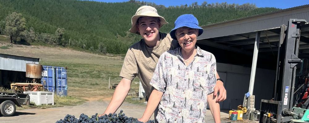 Two people standing behind a large bin filled with freshly harvested grapes at a rural vineyard.