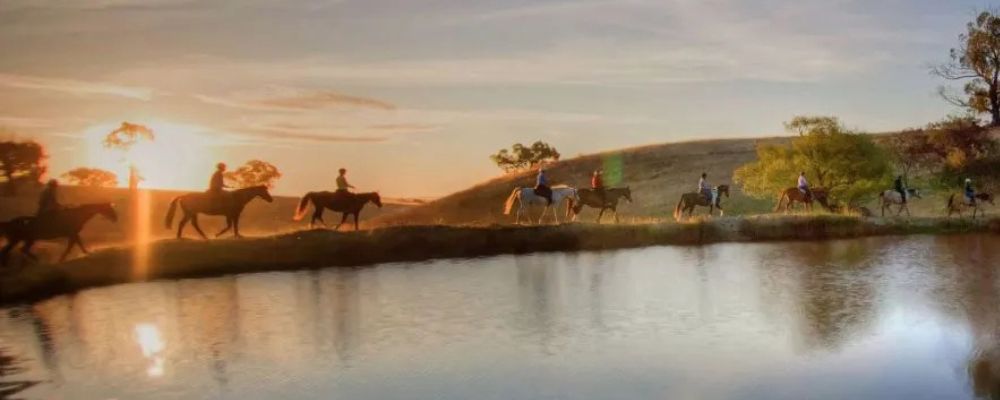 A group of people ride horses in the Yass Valley along a lakeside trail at sunset, with reflections on the water.