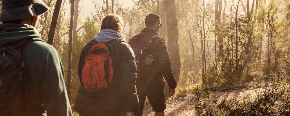 Three people hike along a sunlit bushwalking trail in Tidbinbilla Nature Reserve through tall trees.